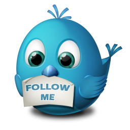 Twitter Follow Me Icon 256px png